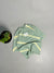 Green-Yellow Acid-Wash Five-Sleeve T-Shirt